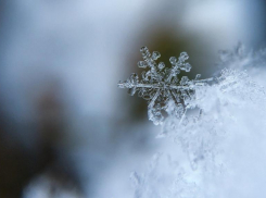 В горах Сочи с приходом осени пошел снег