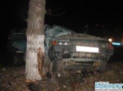 В Крымске автомобиль съехал с дороги и врезался в дерево