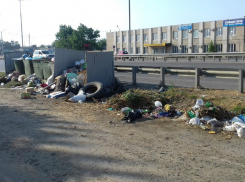 «Позор городу!» - краснодарцам стало стыдно перед туристами за стихийные свалки
