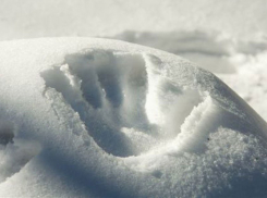 Двухлетний ребенок умер от переохлаждения на Кубани