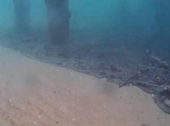 Дно Чёрного моря после разлива нефти показали в Краснодарском крае  