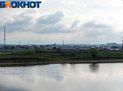 В Тимашевском районе ввели карантин из-за лейкоза скота