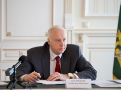 Александр Бастрыкин потребовал наказать виновных в нападении собаки на девочку в школе Краснодара