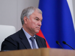 Председатель Госдумы: совершенствование миграционного законодательства – в приоритете