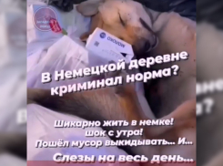 Жители Немецкой деревни наткнулись на дохлых собак в мусорных баках