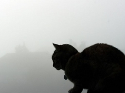 В эти выходные Кубань ждут туман и осадки