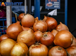 В Краснодаре ярмарка выходного дня переехала с улицы Будённого на новое место