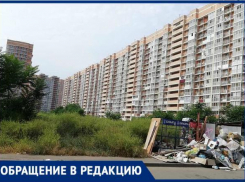 Амброзия во дворе многоэтажки мешает спокойной жизни краснодарцев 