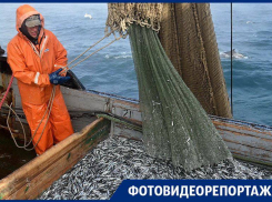 «Загрязнений не наблюдаем»: как добывают рыбу в Чёрном море после разлива мазута 