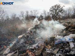 «Это настоящий бич нашего города»: в Краснодаре позвали полицию на борьбу со свалками