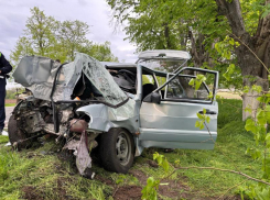 Две жуткие аварии на Кубани унесли жизни трех человек 