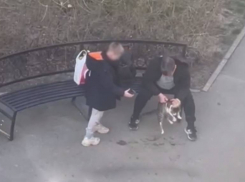 В Новой Адыгее мужчина избивал кота на глазах у ребенка