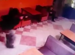  Появилось видео расстрела посетителей кафе в Усть-Лабинске 