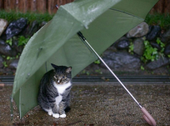 Утром - ветер, вечером - дождь: очень быстро меняется погода на Кубани