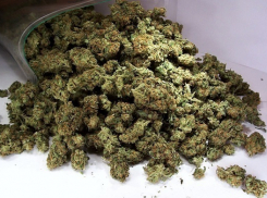 56-летний житель Кубани прятал больше двух килограмм марихуаны