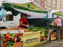 В Краснодаре на пяти площадках работают ярмарки выходного дня