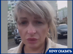 «Руки были полностью в крови»: в Краснодаре бездомные псы набросились на домашнюю собаку и её хозяйку 