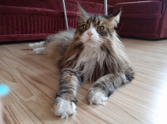 В Краснодарском крае похолодает до +1 градуса 