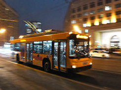 Погибший под колесами краснодарского троллейбуса болельщик перебегал дорогу навстречу брату-близнецу