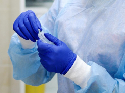 На Кубани за сутки выявили 95 случаев заражения коронавирусной инфекцией
