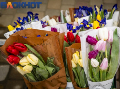 DJ Илья Мыс и выступление ветеранов сцены театра: как в Краснодаре отметят 8 марта