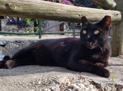 Сильный дождь с градом обрушатся на Краснодарский край