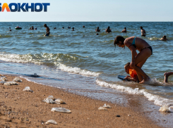 Разлагающиеся медузы, испуганные дети, отчаянные туристы: краснодарец об отдыхе на пляжах Азовского моря