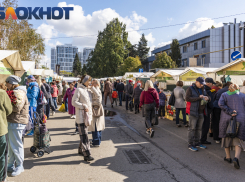 Число ярмарок выходного дня в Краснодаре выросло до 8