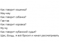 Вся Россия обсуждает ругавшегося матом судью из Краснодарского края