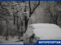Лучше не выходить из дома. Фоторепортаж о зимней сказке в Краснодаре