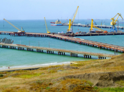 Жители Краснодарского края выступили против строительства аммиачного комплекса в Тамани