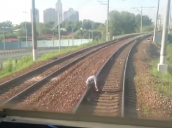 «Сложный участок»: подробности гибели краснодарца под колёсами трамвая