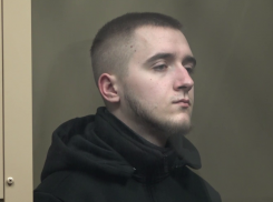 В Краснодаре ростовчанина приговорили к 12 годам колонии за госизмену