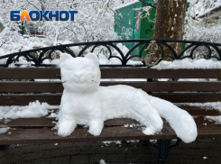 В Гидрометцентре призвали не ждать снега в Краснодарском крае 