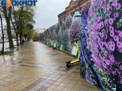 В парках Краснодара запретили электросамокаты