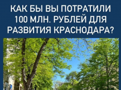 Большинство краснодарцев потратили бы 100 миллионов для развития города на ремонт дорог