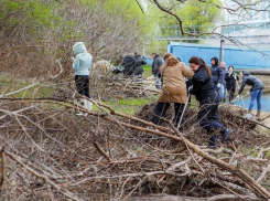 Под особым контролем озеленение: в Краснодаре начнут масштабную уборку города
