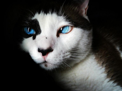 Вторник в Краснодаре будет теплым и солнечным