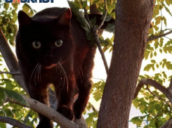 До -7 градусов похолодает в Краснодарском крае и будет дождь