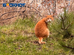 Осадки надвигаются на Краснодарский край