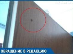  Вместе с ветераном ВОВ по соседству живут тараканы и ужасный запах в Краснодаре 