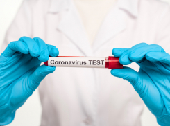 На Кубани за сутки почти 4000 человек заболели коронавирусом 