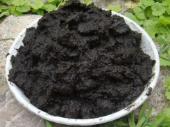 В Новороссийске ил превратят в энергию