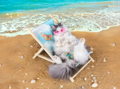 В последний выходной в Краснодаре будет жарче, чем в Сочи