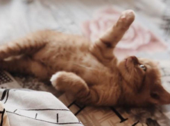 Кошмар для метеозависимых: в Краснодаре резко потеплеет