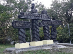 В Сочи незаконно вырубали деревья Национального парка