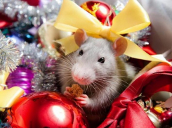 Подарки на миллион: как чиновники Краснодарского края готовятся к Новому году