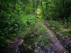 Завод слил фосфор и азот в хуторе Октябрьском в Краснодаре