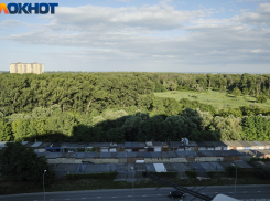 Главное в Краснодаре сегодня, 18 июля: закрытый суд, современный рынок, защитники детей и последние мужчины на планете