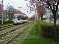  В мэрии Краснодара рассказали об экономии при покупке новых трамваев 